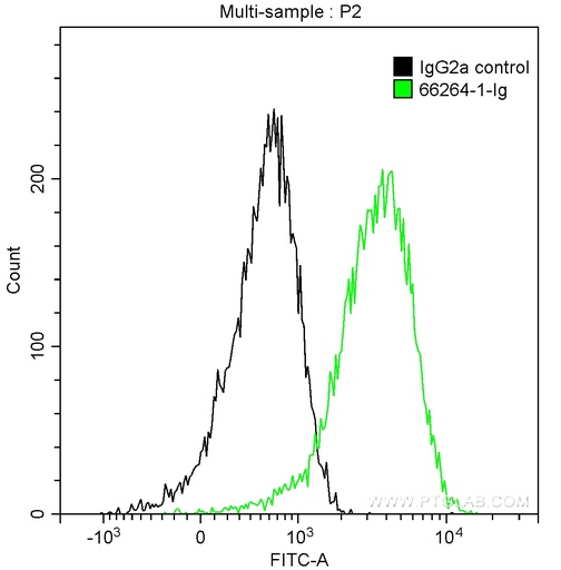 [66264-1-IG-20UL] Cytochrome c Monoclonal antibody