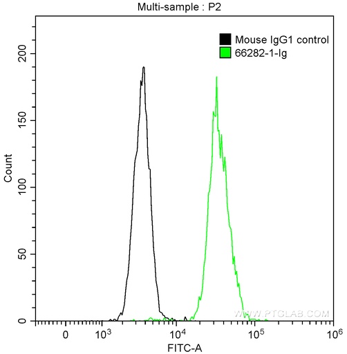[66282-1-IG-150UL] CD200 Monoclonal antibody