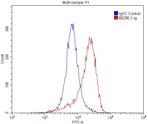 [66290-1-IG-150UL] GLUT1 Monoclonal antibody