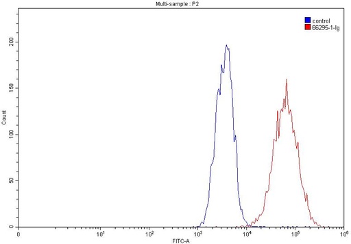 [66295-1-IG-150UL] P-cadherin Monoclonal antibody