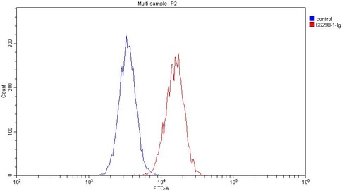[66298-1-IG-150UL] CD19 Monoclonal antibody