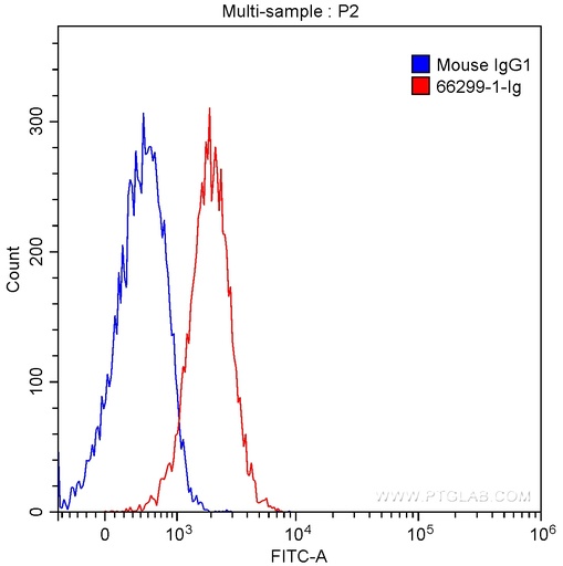 [66299-1-IG-150UL] FABP5 Monoclonal antibody