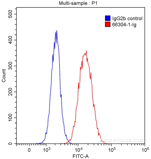 [66304-1-IG-20UL] CD47 Monoclonal antibody