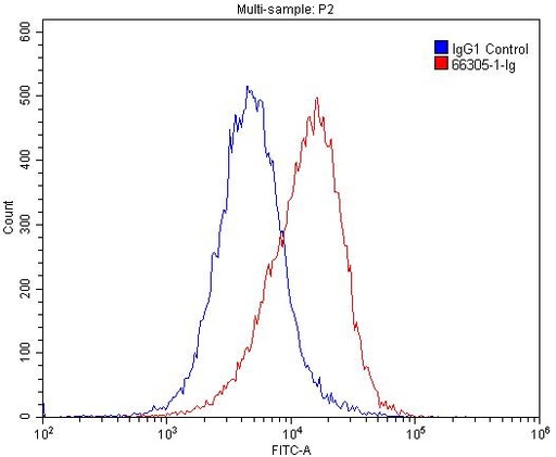[66305-1-IG-150UL] Vinculin Monoclonal antibody