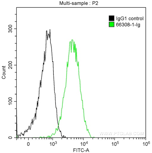 [66308-1-IG-20UL] CD27 Monoclonal antibody