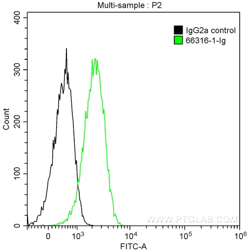[66316-1-IG-20UL] EPCAM Monoclonal antibody