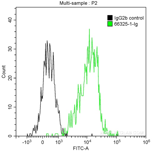 [66325-1-IG-150UL] Factor XIIIa Monoclonal antibody