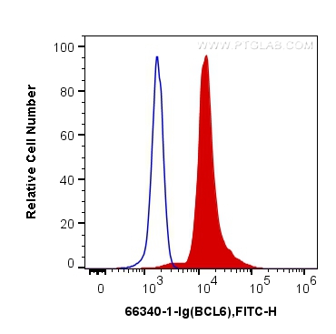[66340-1-IG-20UL] BCL6 Monoclonal antibody