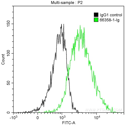 [66358-1-IG-150UL] POMC Monoclonal antibody