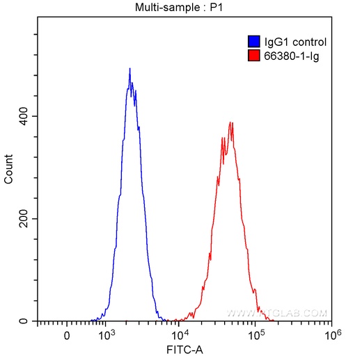 [66380-1-IG-20UL] TrkC Monoclonal antibody