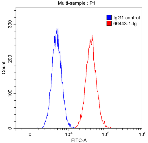 [66443-1-IG-20UL] CD147 Monoclonal antibody