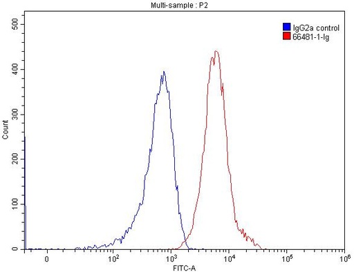 [66481-1-IG-150UL] B7-H3 Monoclonal antibody