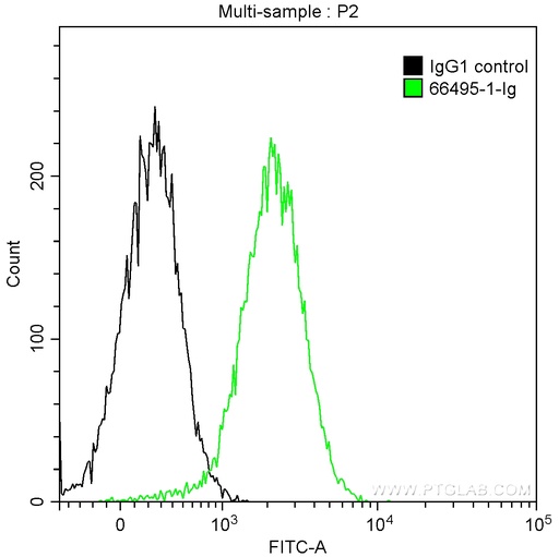[66495-1-IG-150UL] SURVIVIN Monoclonal antibody