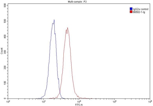 [66502-1-IG-20UL] CD40L/CD154 Monoclonal antibody