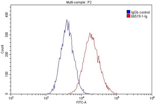 [66519-1-IG-150UL] CD11B/Integrin Alpha M Monoclonal antibody