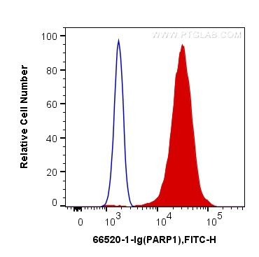 [66520-1-IG-150UL] PARP1 Monoclonal antibody
