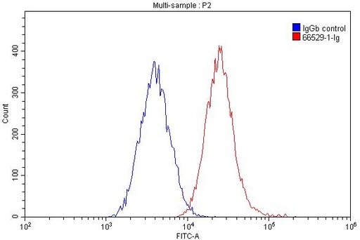 [66529-1-IG-150UL] FCGR2A / CD32a Monoclonal antibody