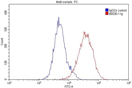 [66530-1-IG-20UL] HLA-E Monoclonal antibody