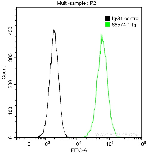 [66574-1-IG-150UL] GRP78/BIP Monoclonal antibody