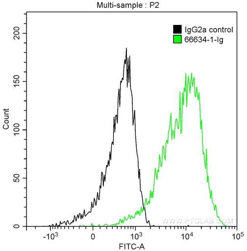 [66634-1-IG-150UL] C5 Monoclonal antibody