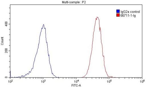 [66711-1-IG-20UL] CD57 Monoclonal antibody