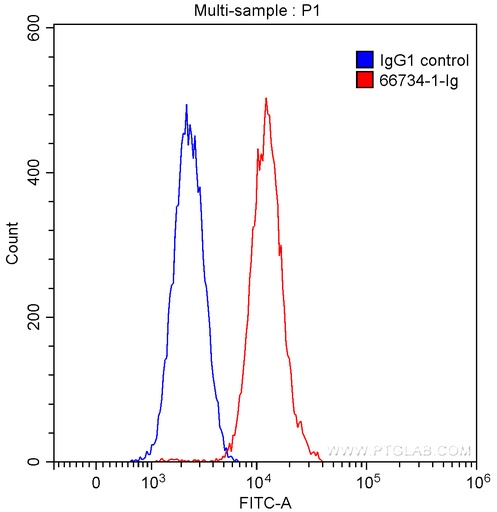 [66734-1-IG-150UL] TDP-43 Monoclonal antibody