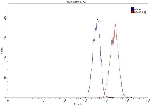 [66736-1-IG-20UL] EPHA2 Monoclonal antibody