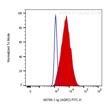 [66768-1-IG-20UL] AGR2 Monoclonal antibody