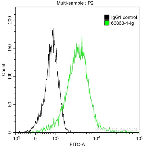 [66863-1-IG-20UL] Phospho-Histone H3 (Ser10) Monoclonal antibody