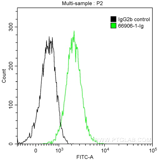 [66906-1-IG-150UL] Integrin Alpha 6 Monoclonal antibody