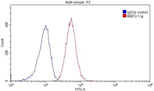 [66972-1-IG-150UL] CD97 Monoclonal antibody