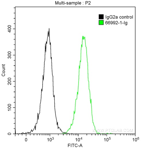 [66992-1-IG-20UL] NFKB1 Monoclonal antibody