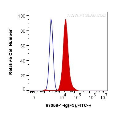 [67056-1-IG-150UL] Tissue factor Monoclonal antibody