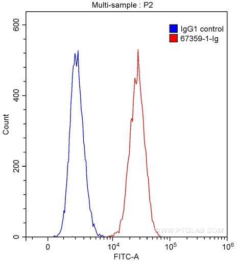 [67359-1-IG-20UL] RALBP1 Monoclonal antibody