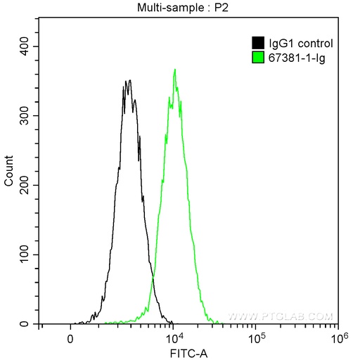 [67381-1-IG-150UL] TSG101 Monoclonal antibody
