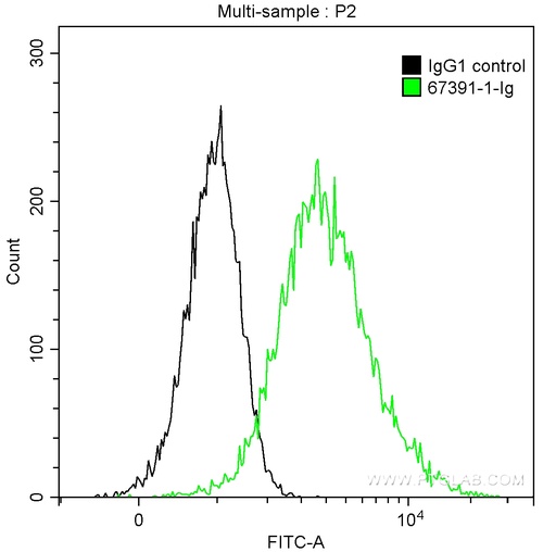 [67391-1-IG-150UL] FGL1 Monoclonal antibody