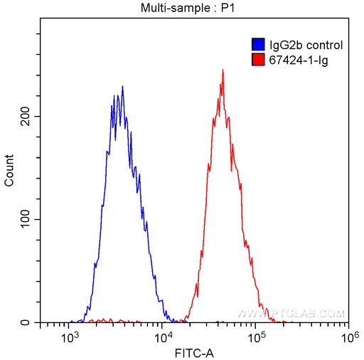 [67424-1-IG-150UL] CD72 Monoclonal antibody