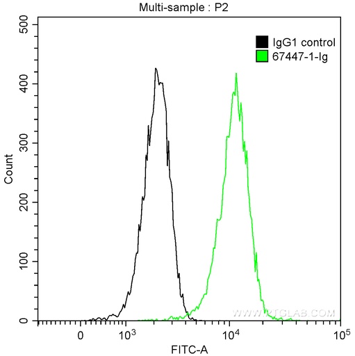 [67447-1-IG-150UL] c-MYC Monoclonal antibody