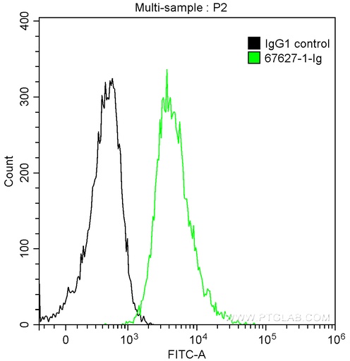 [67627-1-IG-20UL] CD24 Monoclonal antibody
