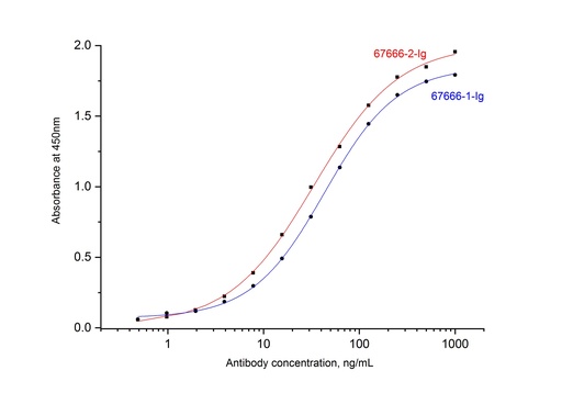 [67666-1-IG-150UL] SARS-CoV-2 Nucleocapsid Phosphoprotein Monoclonal antibody