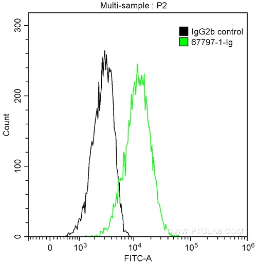 [67797-1-IG-20UL] MFG-E8 Monoclonal antibody
