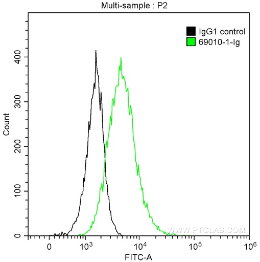 [69010-1-IG-25UG] NeutraKine® Noggin Monoclonal antibody