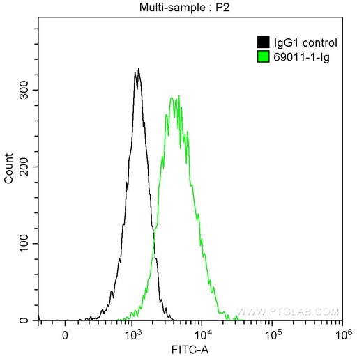 [69011-1-IG-25UG] NeutraKine® BMP-7 Monoclonal antibody