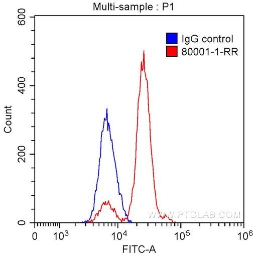 [80001-1-RR-20UL] TDP-43 Recombinant antibody