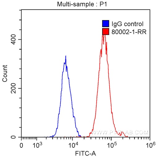 [80002-1-RR-20UL] TDP-43 (for IF/FC) Recombinant antibody