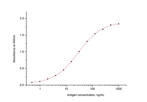 [80026-1-RR-100UL] SARS-CoV-2 Nucleocapsid Phosphoprotein Recombinant antibody