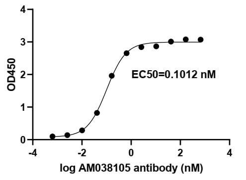 [91339-PTG-20UG] SARS-CoV-2 Spike Recombinant antibody