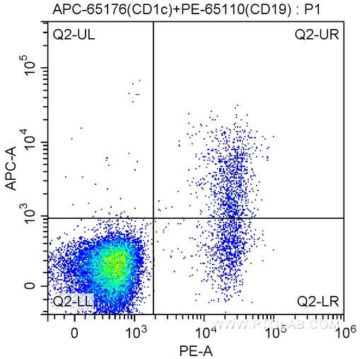 [APC-65176-100TESTS] APC Anti-Human CD1c (L161)