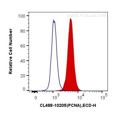 [CL488-10205-100UL] CoraLite®488-conjugated PCNA Polyclonal antibody
