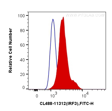 [CL488-11312-100UL] CoraLite®488-conjugated IRF3 Polyclonal antibody